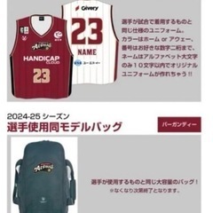 越谷アルファーズ オーセンティックユニフォーム 非売品リュック