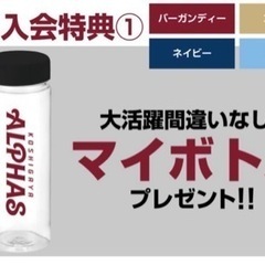 越谷アルファーズ オーセンティックユニフォーム 非売品リュック