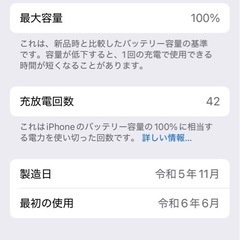 iPhone15pro 256GB ブルーチタニウム　約4か月使用 国内版SIMフリー