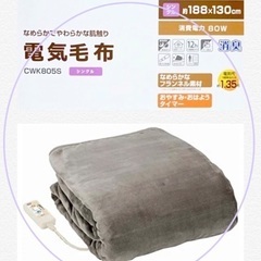 使用2回》室温センサー/消臭機能付【電気毛布◎掛敷両用】