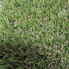 メモリーターフ人工芝新品