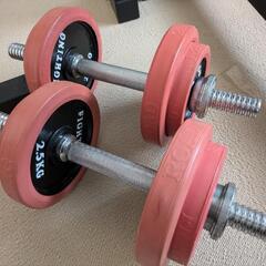 ベンチ台　ダンベル/セーフティバーセット