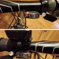 GIANT  THRIVE (女性モデル) 