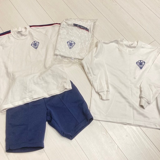 平和屋着物○本場琉球絣 紬 格子 正絹 逸品 AABE2013ck