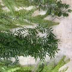 4万円相当　フェイクグリーン16個