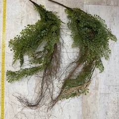 4万円相当　フェイクグリーン16個