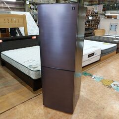 愛品館 市原店】SHARP 2023年製 310L 2ドア冷蔵庫 SJ-PD31J-T 【