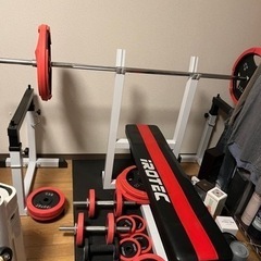 　IROTEC（アイロテック）ストレングスセットR100（プレスベンチ+セイフティラックワイド+ラバーバーベルダンベル100KGセット）11/24まで