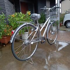 🎀😃貴重品ブリジストン最高峰アルベルト・ロイヤル27インチ（配達可能）