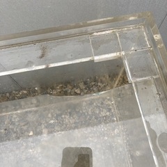 ①アクリル水槽 1800×450×450