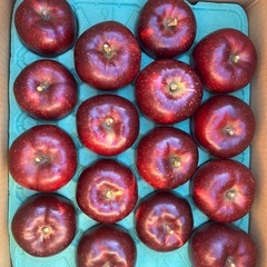 緊急高山産りんご18キロ 緊急高山産りんご18キロ