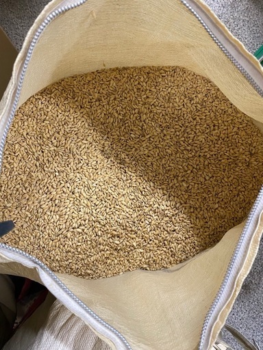 令和6年度収穫 ヒノヒカリ1俵