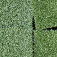 天然芝の中古が安い！激安で譲ります・無料であげます(2ページ目  