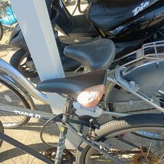 マウンテンバイク　太タイヤ-AW単品  Lシャフト SIM2 MAX レディース アプローチ Women