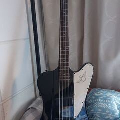 787美品✨ 激レア！エピフォンサンダーバード ベースギター ローズ 
