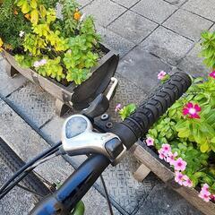 クロスバイク　２４インチ　６変速　緑　配達可能