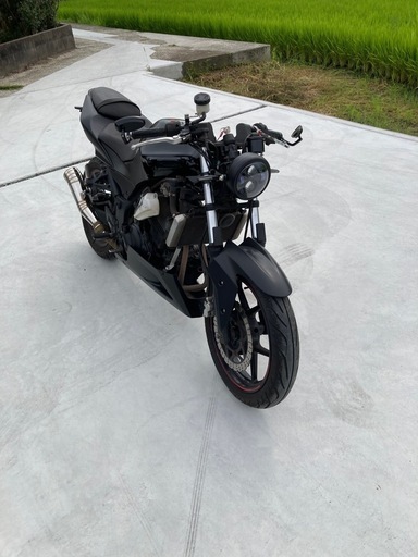 カワサキニンジャ250r ストリートファイター仕様