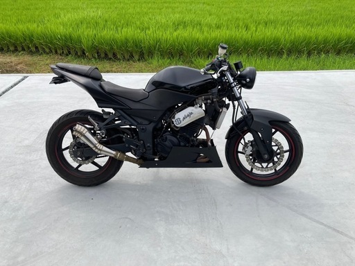 カワサキニンジャ250r ストリートファイター仕様 フルカウルニンジャ