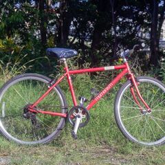 モーメンタムのクロスバイク 中古自転車 348