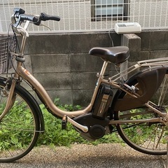 yamaha pass natura