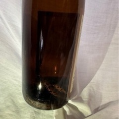 観賞用 自家製まむし酒 No.3