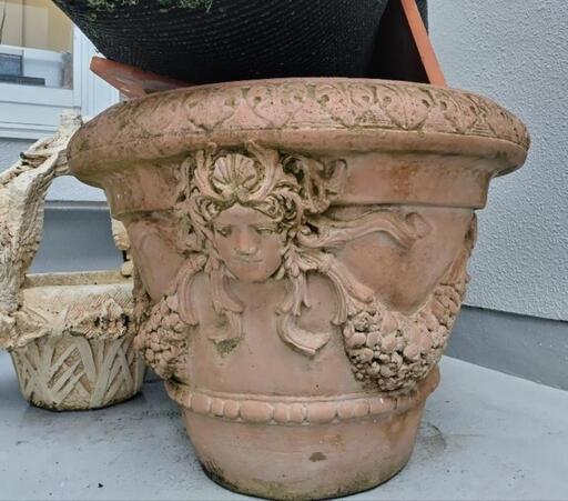 鉢植え　大！