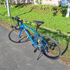 NESTO FALAD 2022モデル