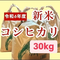 鳥取県産コシヒカリ 令和6年産 新米30kg(玄米)