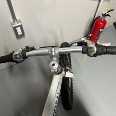 LOUIS GARNEAU　ルイガノ　子供用　自転車　22インチ