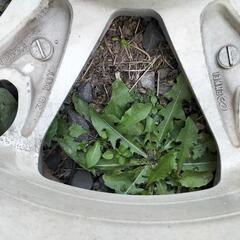 タイヤ付きアルミホイール