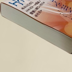 【絶版本】エネルギー・メディスン （ドナイーデン著）