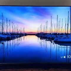 TCL50型テレビ TCL50P745