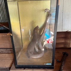 🌲杉丸太！🌲軽トラ一台分！18000円《チェーンソー持参でお願いします  