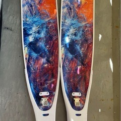 リーダーフィン　　