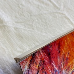 リーダーフィン　　