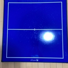 価格交渉可 ミントンの壁 お家でバドミントン練習用のボード