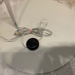 ◆🔶お持ち帰り限定・特別価格🔶◆ 【美品】FOSCARINI(フォスカリーニ) Twiggy floor ツィギー フロアランプ