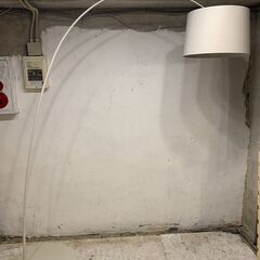 ◆🔶お持ち帰り限定・特別価格🔶◆ 【美品】FOSCARINI(フォスカリーニ) Twiggy floor ツィギー フロアランプ