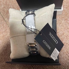 CITIZEN レディースウォッチ 腕時計 エコドライブ EX1464-54E