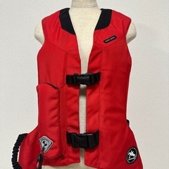 エアバック スポーツの中古が安い！激安で譲ります・無料であげます  