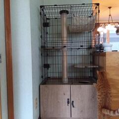 アイリスオーヤマ　キャットケージ