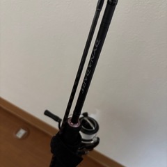 ダイナダート S76UL-S、シマノ ソアレ BB C2000SSPG 