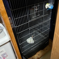 イージーホーム60ハイケージ