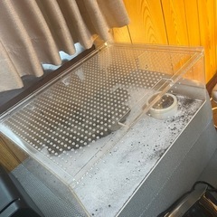 レプタイルズBOX