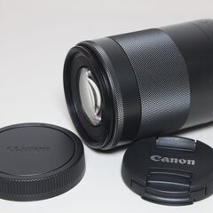 Canon/EOS M6/ダブルズームキット/ミラーレス一眼 ④