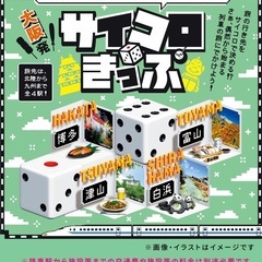 大人2枚サイコロきっぷ大阪発白浜行き