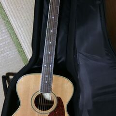 ❤️弦高調整済❤️フレット新品「Ibanez アイバニーズ AC6-NT」ケース