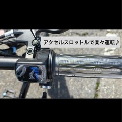 航続可能距離100kmモデルE-Bike