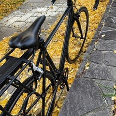 HEADロードバイク(リアキャリア取り外し可能)