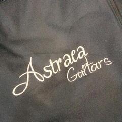 1105-240 エレキギター